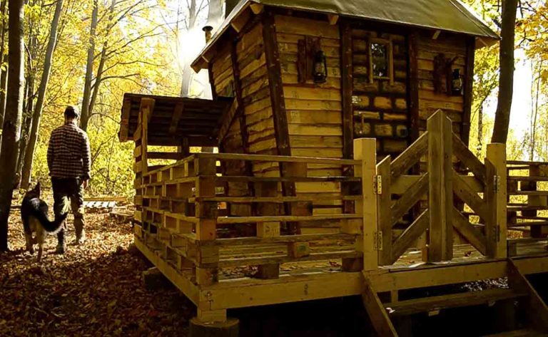 How To Build a Cute Little Tiny House “Cabin” From Recycled Pallets