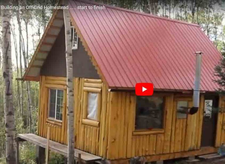 Couple Builds AWESOME “Stockade Style” Vertical Log Off Grid Cabin in Alaskan Wilderness