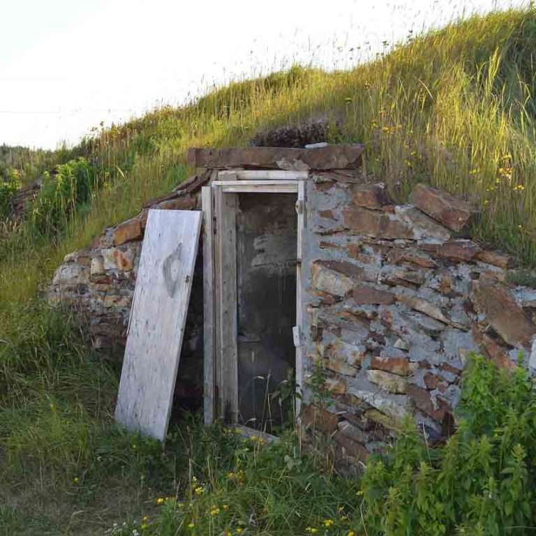 10 Reasons You Need To Build A Root Cellar