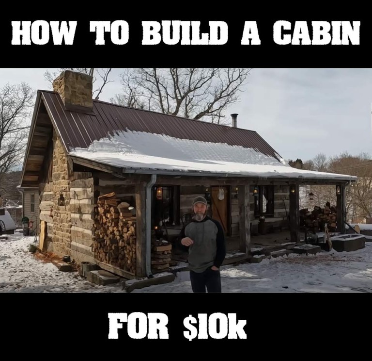 How To Build A Log Cabin For $10k